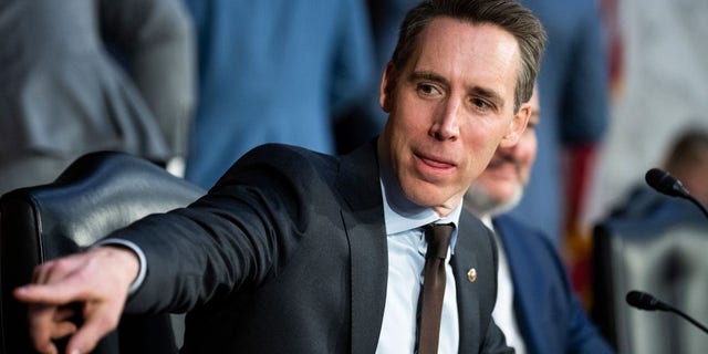 Sen. Josh Hawley, R-Mo., is one of several GOP senators who is open to the idea of regulating AI systems. (Tom Williams/CQ-Roll Call, Inc via Getty Images)