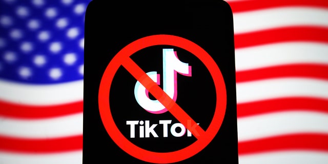TikTok ban, logo