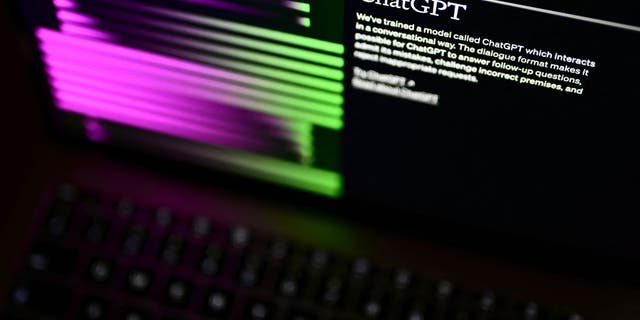 Bir bilgisayar ekranı, OpenAI'nin ChatGPT yazılımını gösteren web sitesini gösteriyor.