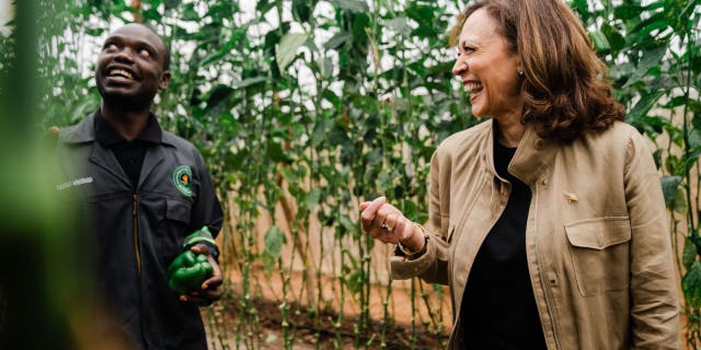 Vice President Kamala Harris vists Panuka Farm on Saturday, April 1, 2023, just outside the city of Lusaka, Zambia.