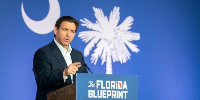 Florida Gov. Ron DeSantis speaks to a crowd