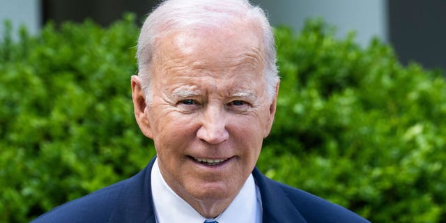 Does Congress trust Biden, Harris to oversee AI? One lawmaker doubts they can 'operate an iPhone'  at george magazine