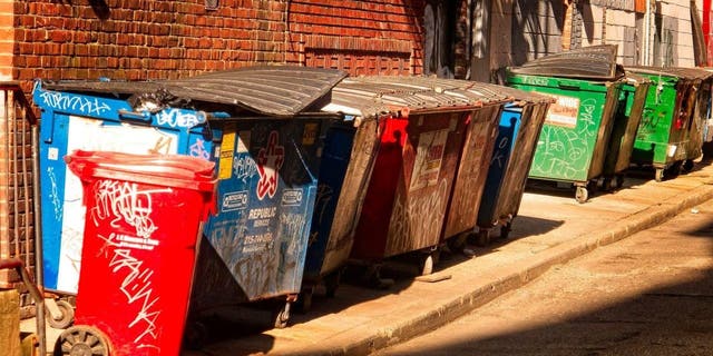 Trash bins in an alley in Philadelphia.