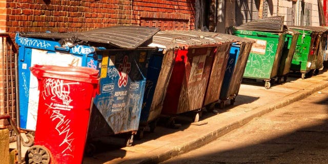 Trash bins in an alley in Philadelphia.