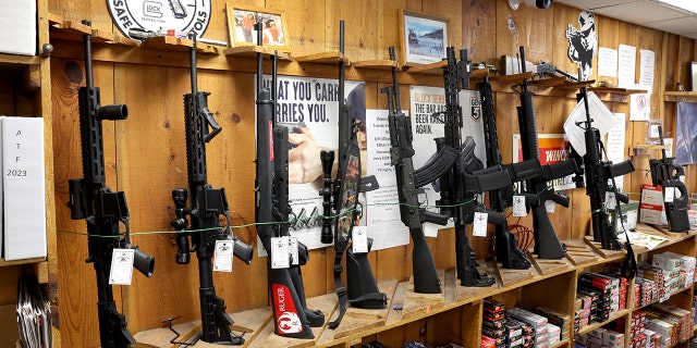 Firearms are sold in gun store