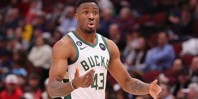 Thanasis Antetokounmpo, #43 of the Milwaukee Bucks, looks on against the Chicago Bulls during the second half at United Center on February 16, 2023, in Chicago, Illinois.