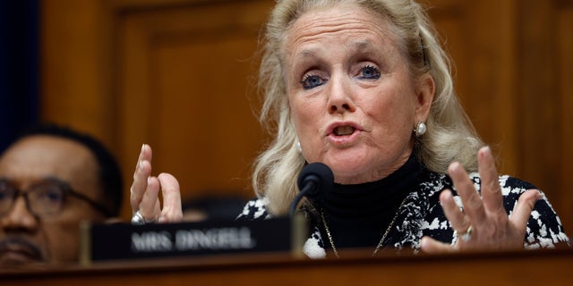 Debbie Dingell Michigan