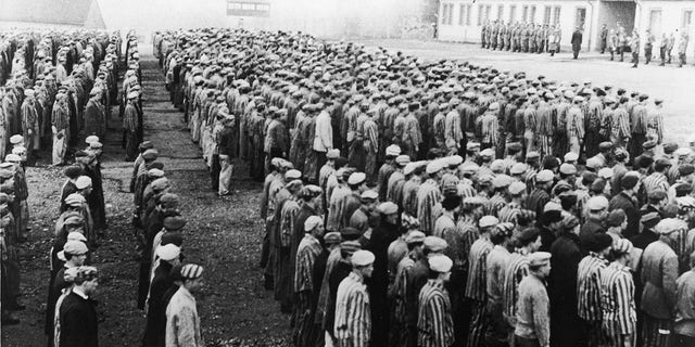 High-angle view of Polish prisoners in striped uniforms standing in rows before Nazi officers at the Buchenwald Concentration Camp, Weimar, Germany, World War II, circa 1943. 