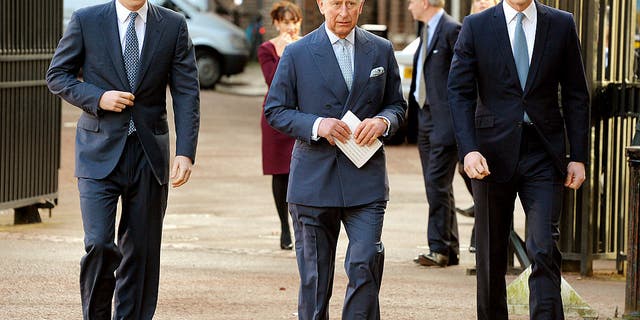 prince harry prince william king charles