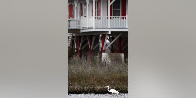 Bolivar Peninsula, Texas, is a census-designated place in The Lone Star State's Galveston County. The area is home to wildlife and fewer than 3,000 people.