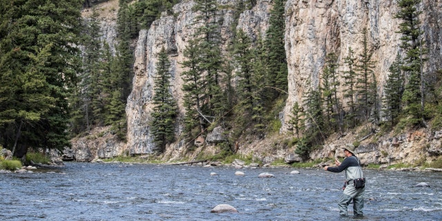 Fishing: Scenic view of angler in action using Montana Hook Up technique on the Gallatin River. Bozeman, MT 9/9/2017 CREDIT: David E. Klutho (Photo by David E. Klutho /Sports Illustrated/Getty Images) (Set Number: X161376 TK1 )