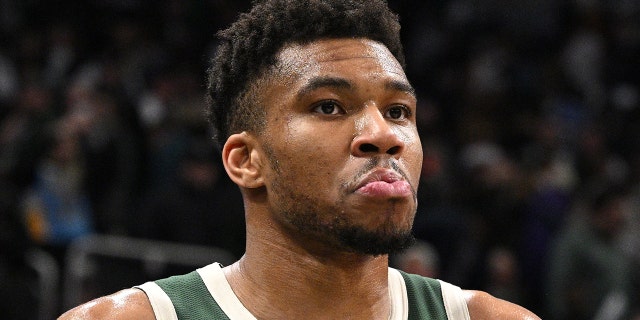 Giannis Antetokounmpo vs the Heat