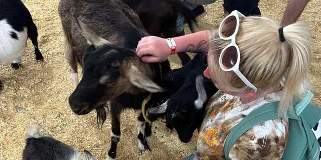 Gillis petting a goat