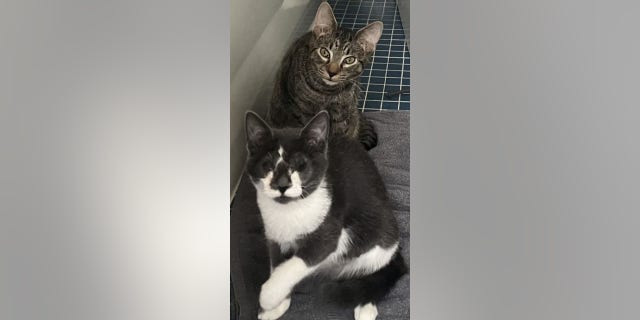 Glenda and Saturn are not biological siblings but became the best of friends in their foster home.