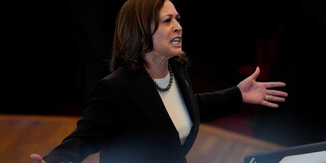 U.S. Vice President Kamala Harris speaks