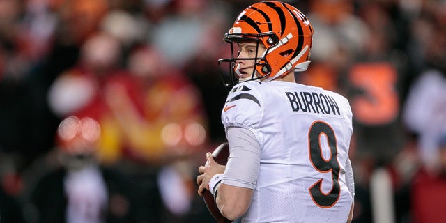 Joe Burrow 'is The Best Quarterback In The League,' Ex-NFL Star Carson ...