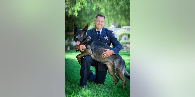 Illinois K-9 nabs suspect