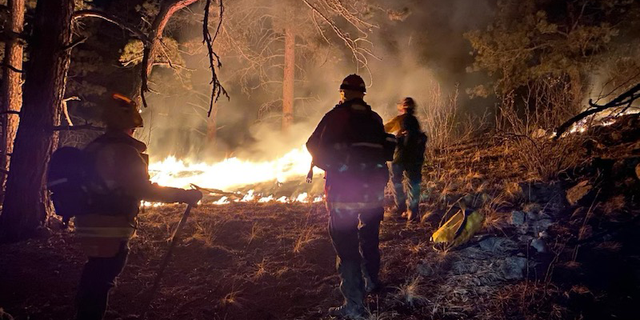 Colorado Wildfire Burns Over 1,200 Acres, Homes Evacuated | Fox News