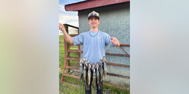 Crappies are a North American freshwater game fish that are a part of the sunfish family. Logan Cernosek of Arkansas caught several in April 2023 while fishing with a friend in Randolph County.