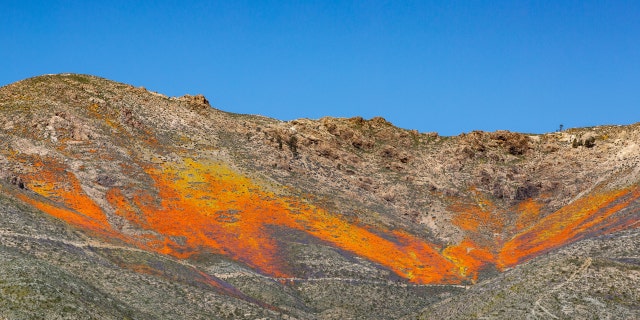 The hillsides above Jawbone Canyon in Mojave, Calif.