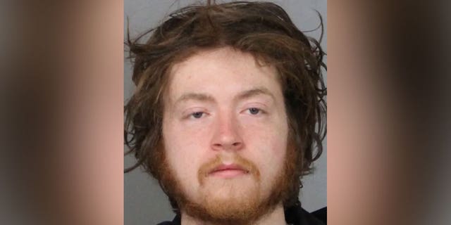 Mark Tannen of Newark allegedly attempted to carjack two vehicles on Tuesday, one of which was an unmarked police vehicle.