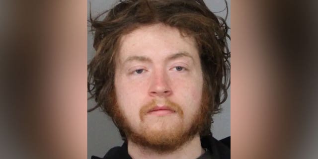 Mark Tannen of Newark allegedly attempted to carjack two vehicles on Tuesday, one of which was an unmarked police vehicle.