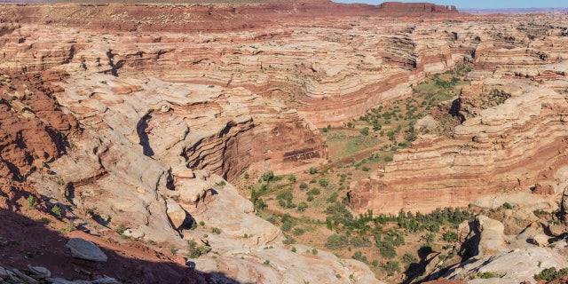 Maze Canyon overlook