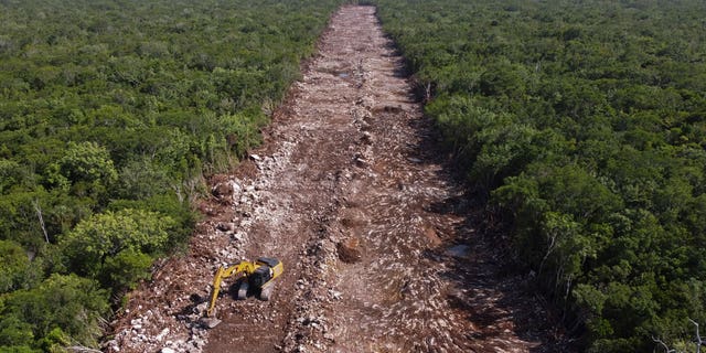 Mexico Environment Train