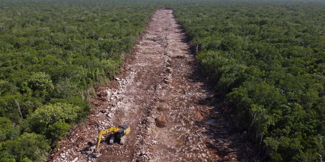 Comisión del T-MEC abrirá investigación ambiental por proyecto de tren en México 4 tren medio ambiente mexico