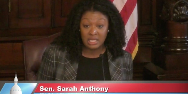 Michigan state Sen. Sarah Anthony, the chair of the Appropriations Committee, speaks during the hearing Thursday.
