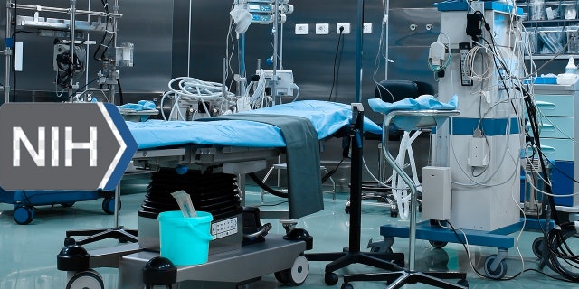 National Institutes of Health gender-affirming care