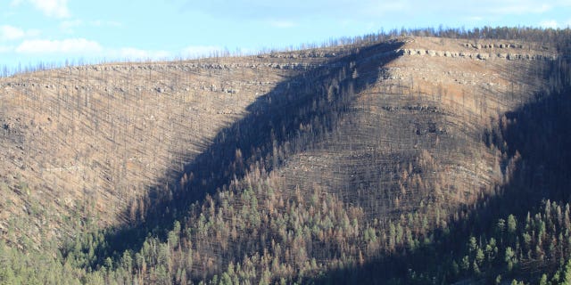 Wildfires Spending