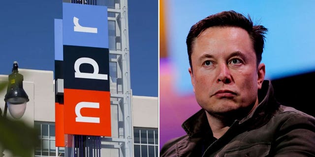 NPR and Elon Musk