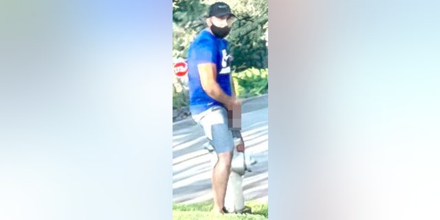 Suspect wearing face mask, blue t-shirt, exposing himself over fire hydrant