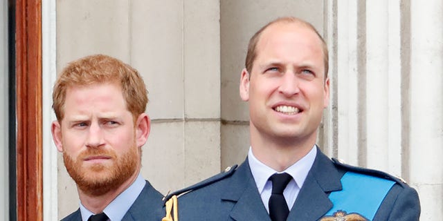Princes William and Harry both served in the military, but only Harry saw combat. 