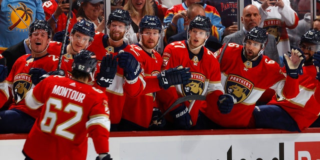 Panthers celebrate goal