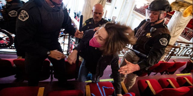 Riot police descend on Montana capitol as left-wing protestors shut down proceedings Protest-photo-1