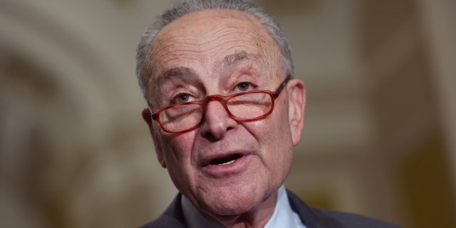 Senate Majority Leader Charles Schumer speaks