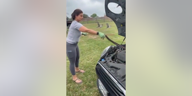 Nicole Graham, a mother and business owner, removed a snake from her daughter's car while cleaning a chicken coop for a client in Burton.