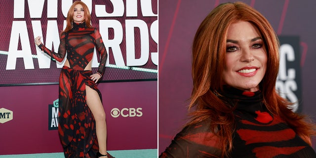 Shania Twain made a statement wearing a red dress with a thigh-grazing slit.
