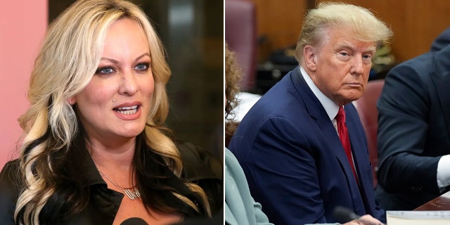 Stormy Daniels reacted to former President Donald Trump's arraignment with an X-rated tweet.