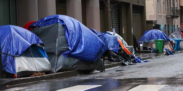 Homeless tents are seen near the Tenderloin District