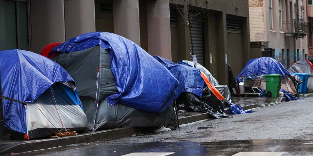 Homeless tents are seen near the Tenderloin District