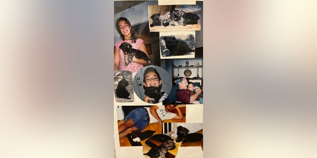 Toby collage with old owner