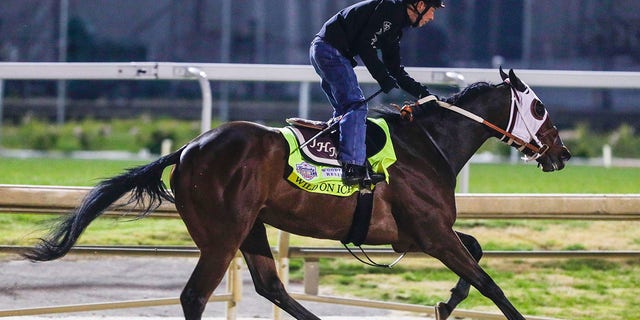 Wild On Ice trains at Churchill Downs