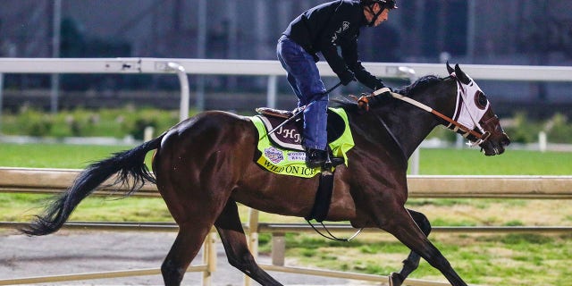 Wild On Ice trains at Churchill Downs