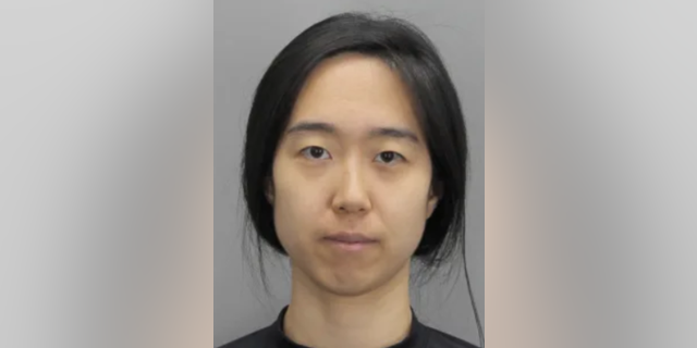Jane Pyo mug shot