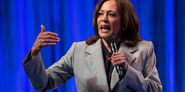 Vice President Kamala Harris talks about abortion in speech