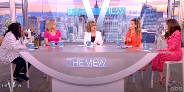 The View co-hosts
