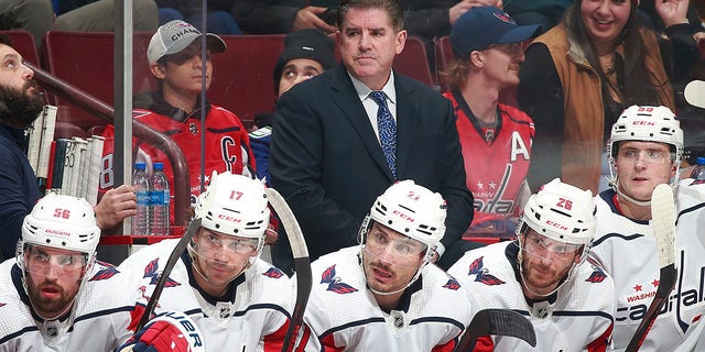 Peter Laviolette looks on during a Washington Capitals game